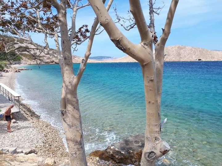 Apartment Lili Lukovo Dış mekan fotoğraf