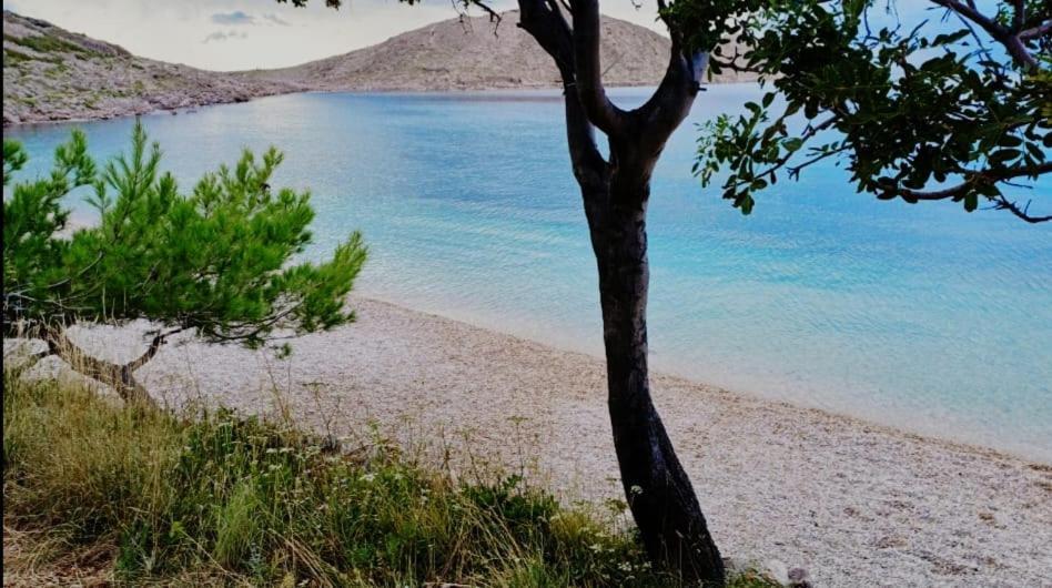 Apartment Lili Lukovo Dış mekan fotoğraf